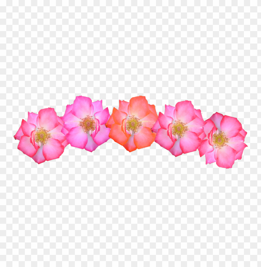 flower crown transparent background, flowercrown,crown,transparent,background,transpar,flower