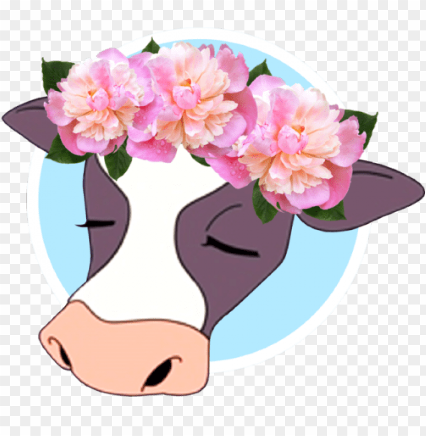 flower crown tumblr png, crown,tumblr,flowercrown,flower,png