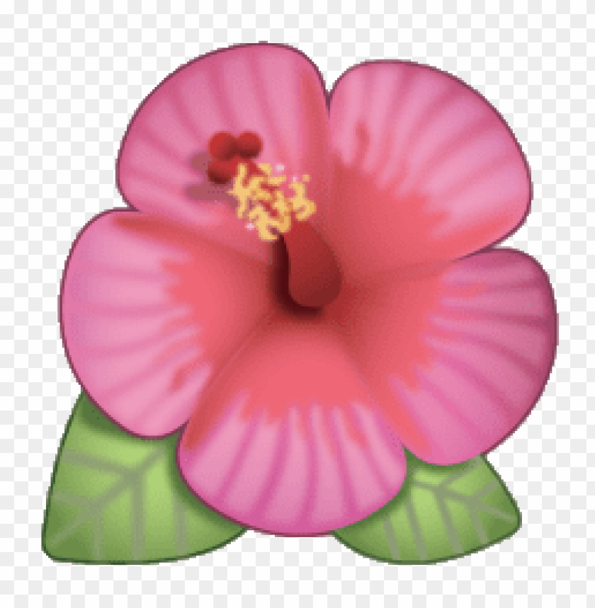 flower emoji transparent, flower,transparent,emoji,transpar