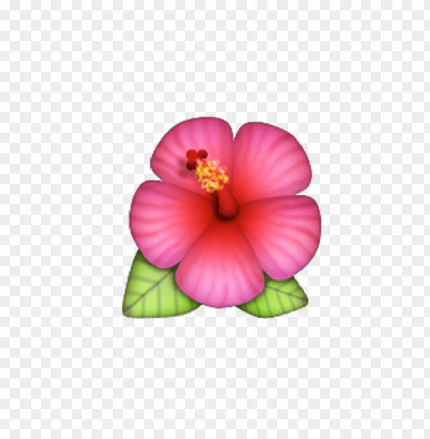 flower emoji transparent, flower,transparent,emoji,transpar