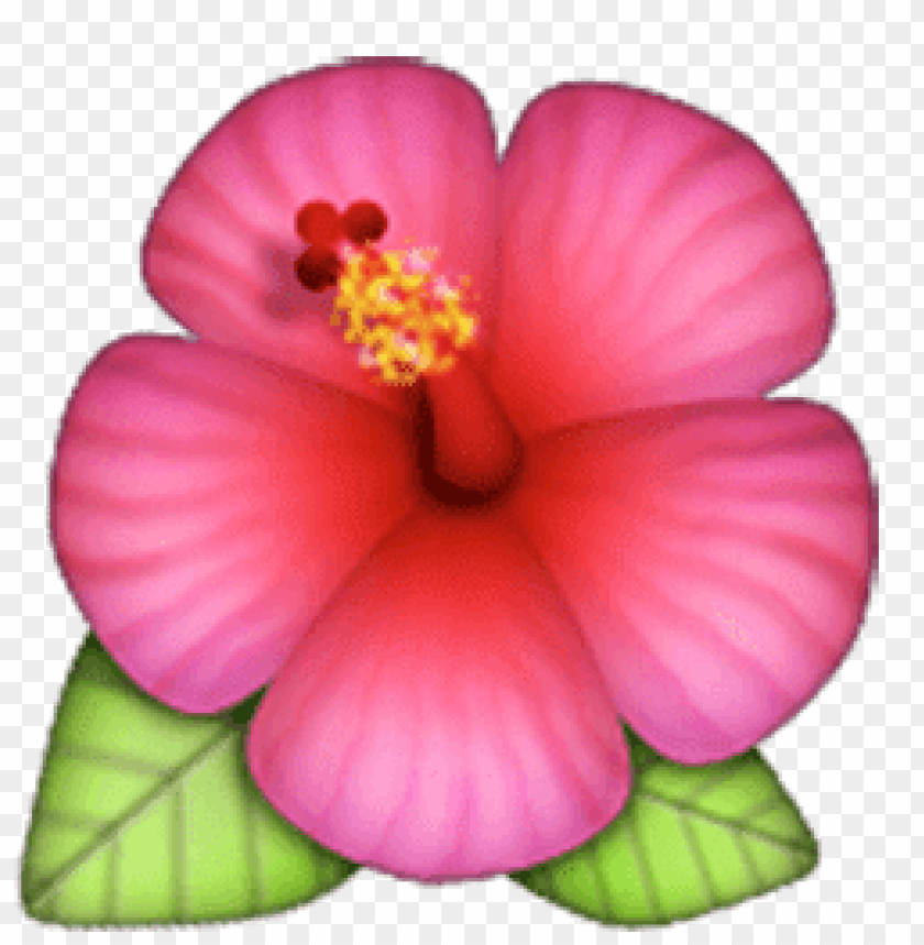 flower emoji transparent, flower,transparent,emoji,transpar