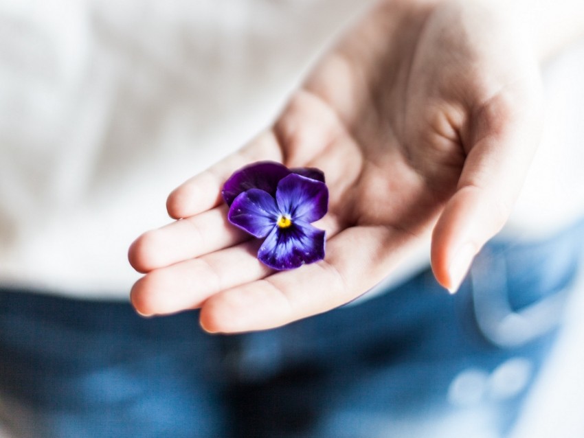 flower, hand, palm, purple, fingers