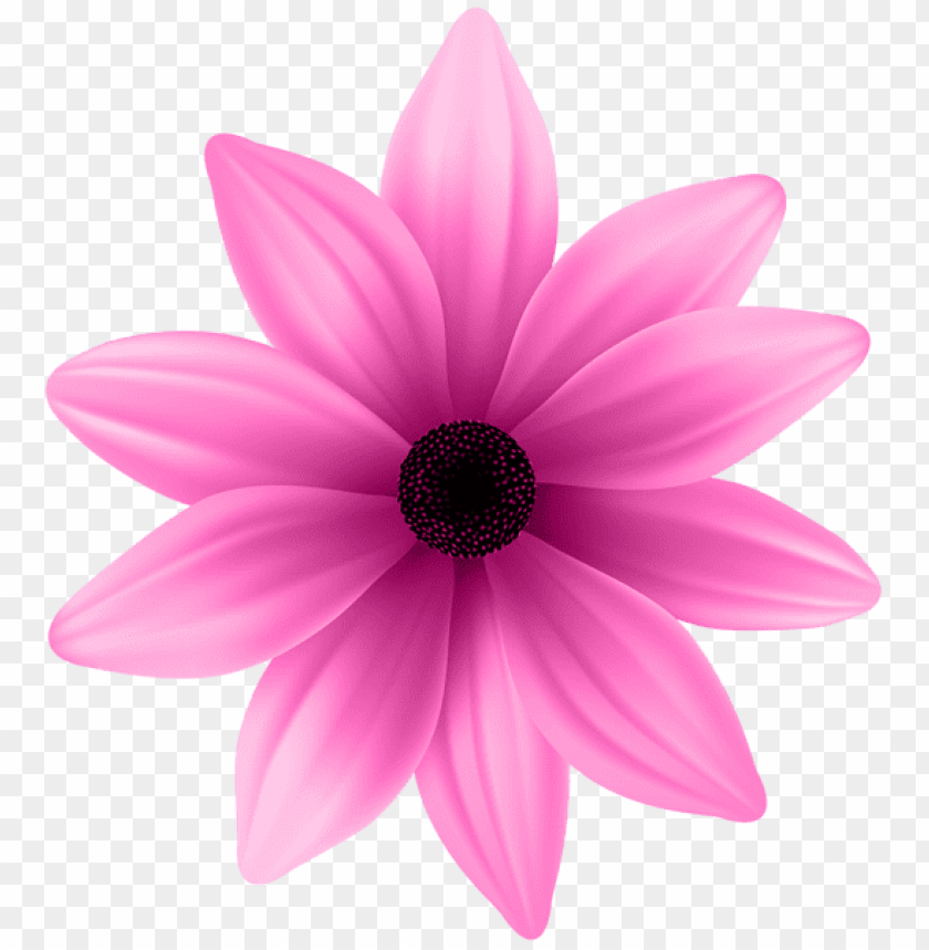 flower pink