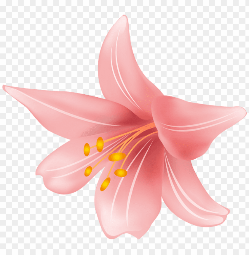 flower png