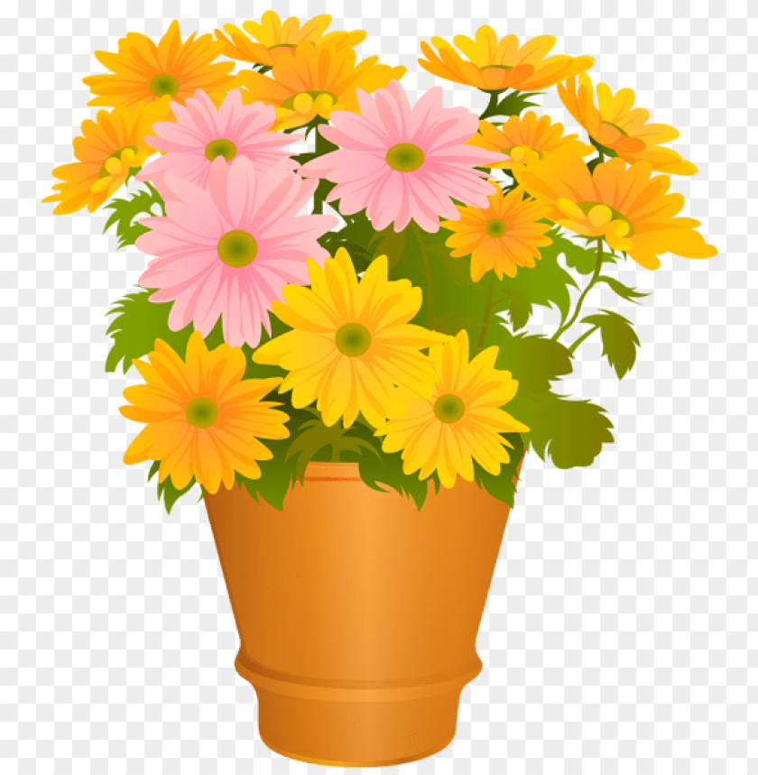 flower pot transparent