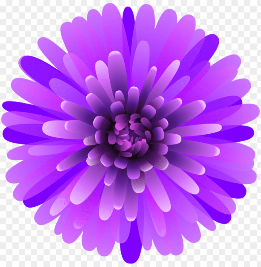 flower purple