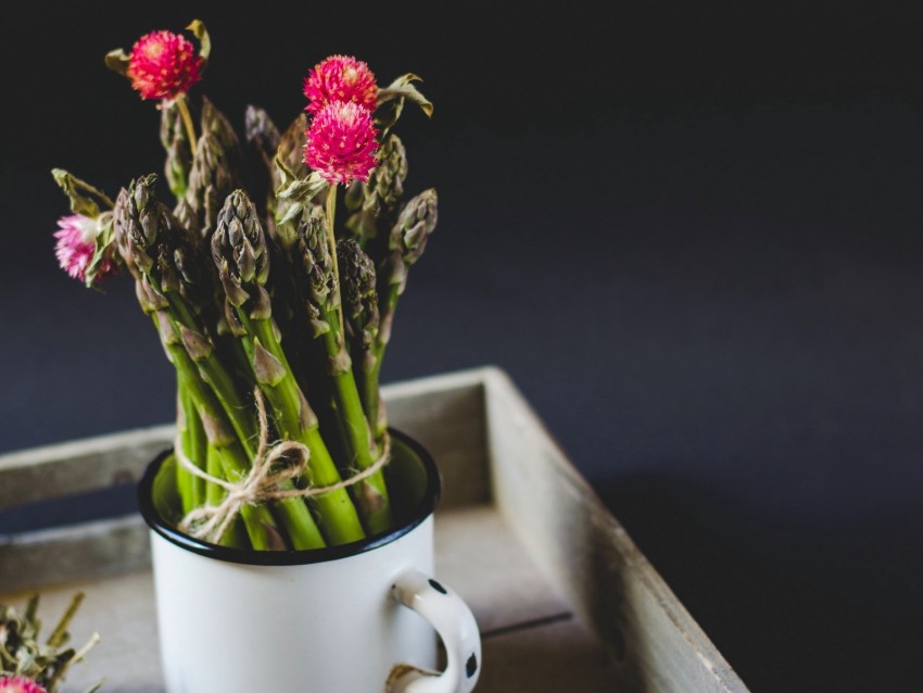 Flowers Asparagus Mug Bouquet Plants Background