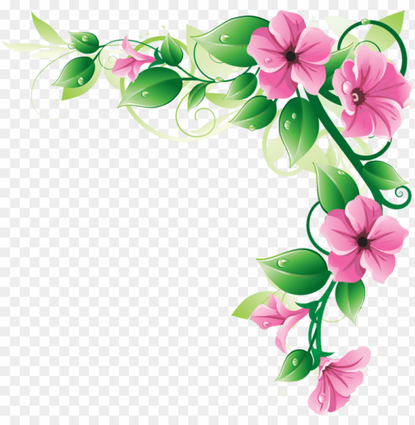 Floral Design, Flower Patterns, Botanical Illustrations, Decorative Elements, Nature Graphics