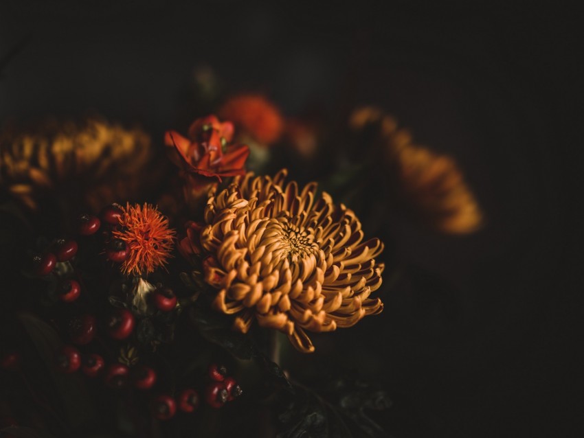 Flowers Bouquet Composition Dark Background