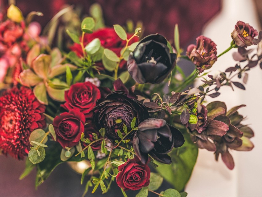 Flowers Bouquet Roses Tulips Red Black Background