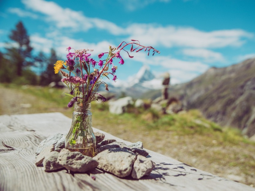 flowers, bouquet, vase, stones, nature