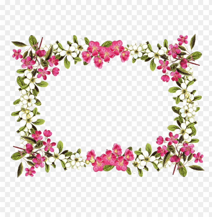 miscellaneous, frames, flowers frame rose, 