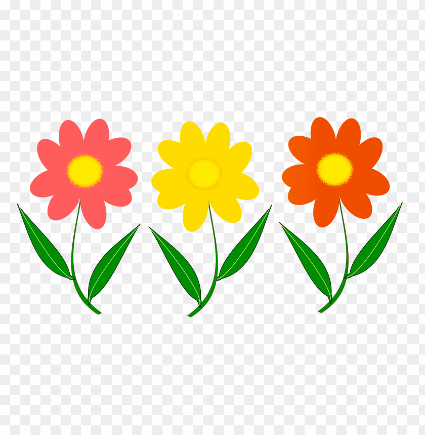 Yellow and orange flowers PNG, artistic, minimalist