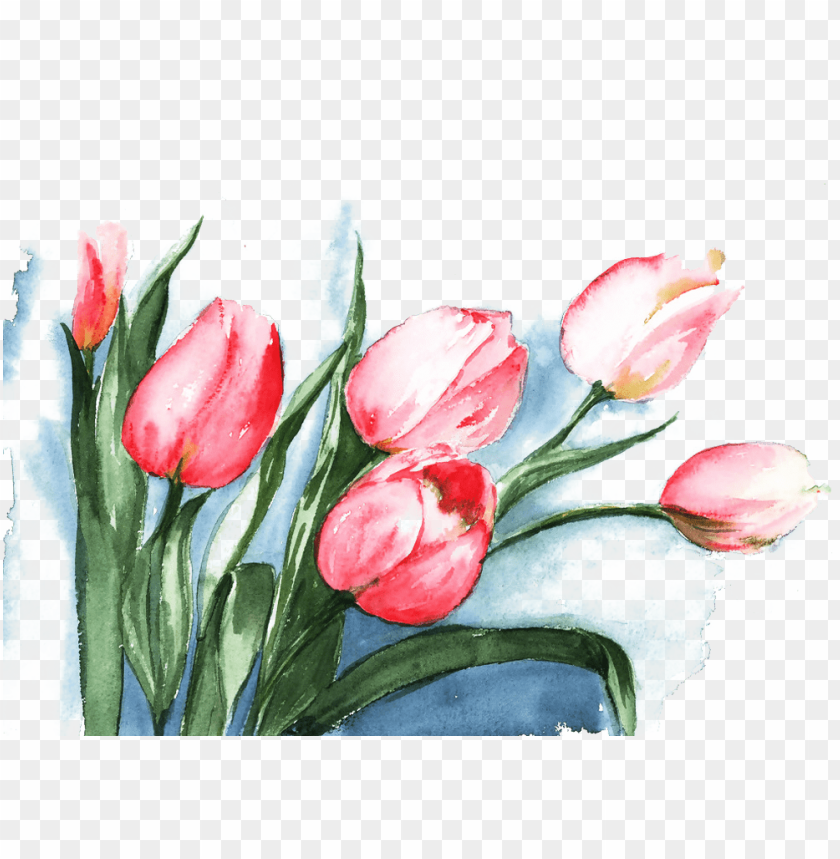 flower, tulip, pattern, love, illustration, card, beautiful