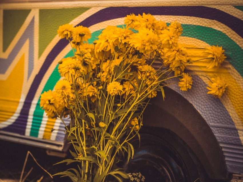 flowers, yellow, bouquet, bright