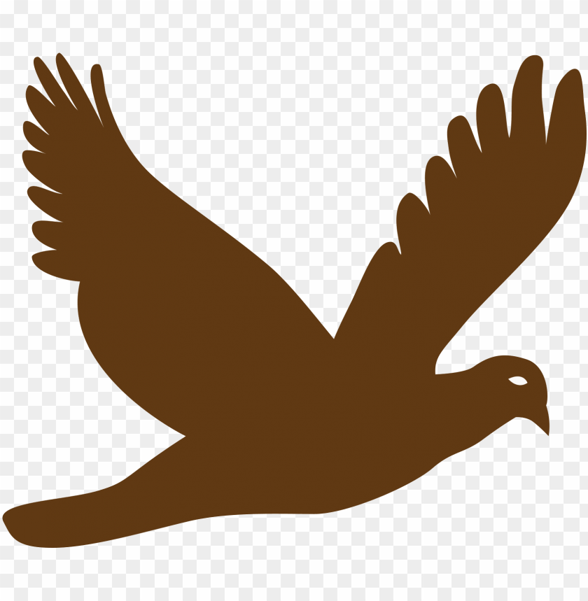 phoenix bird, twitter bird logo, big bird, bird wings, flappy bird pipe, bird