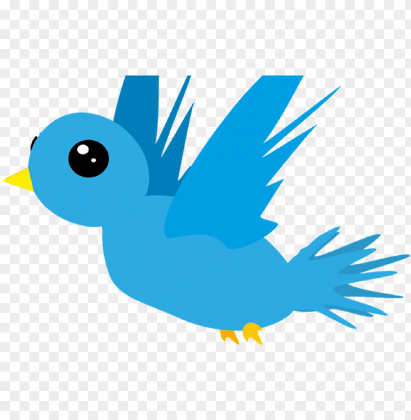 twitter bird logo, twitter bird, twitter bird logo transparent background, superman flying, phoenix bird, flying cat