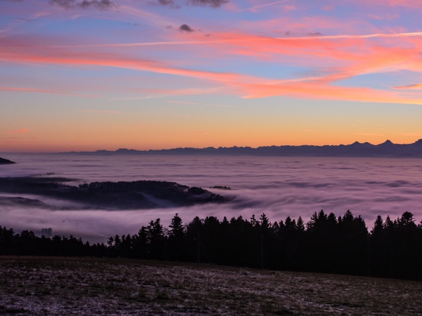 fog, sunset, horizon, sky