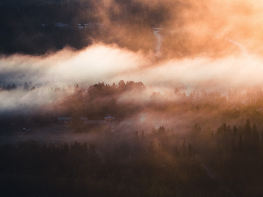 fog, trees, village, aerial view