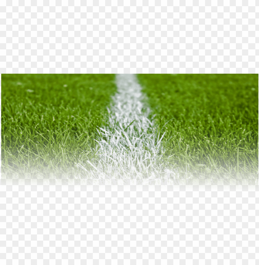 green grass, football, grass hill, ornamental grass, grass vector, football laces