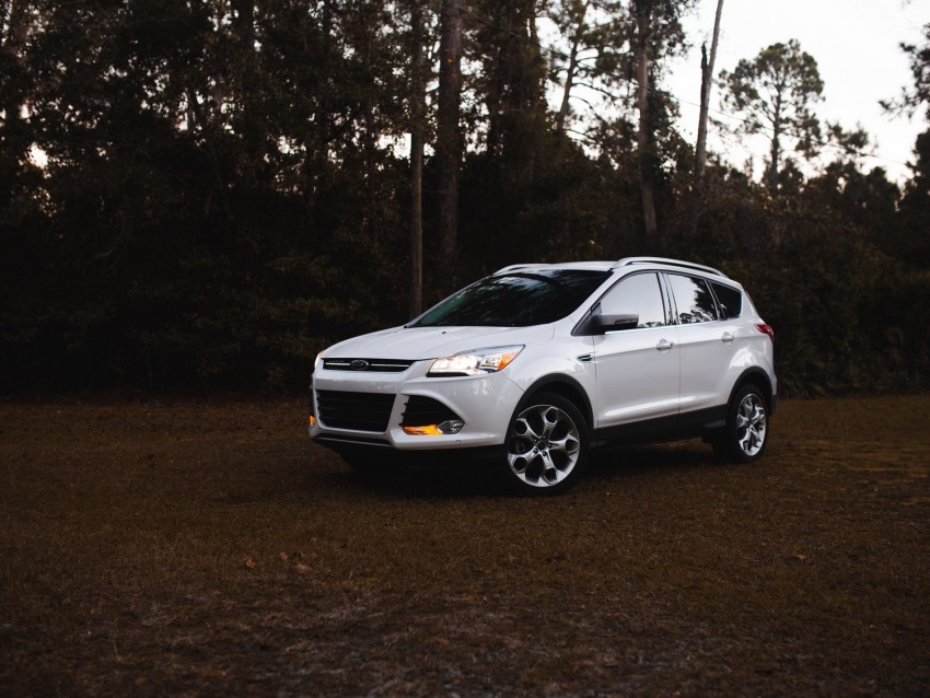 ford, car, side view, white