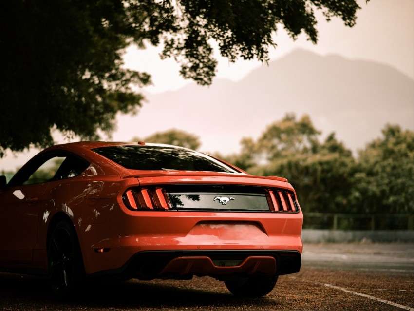 Ford Mustang Ford Car Red Rear View Parking Background