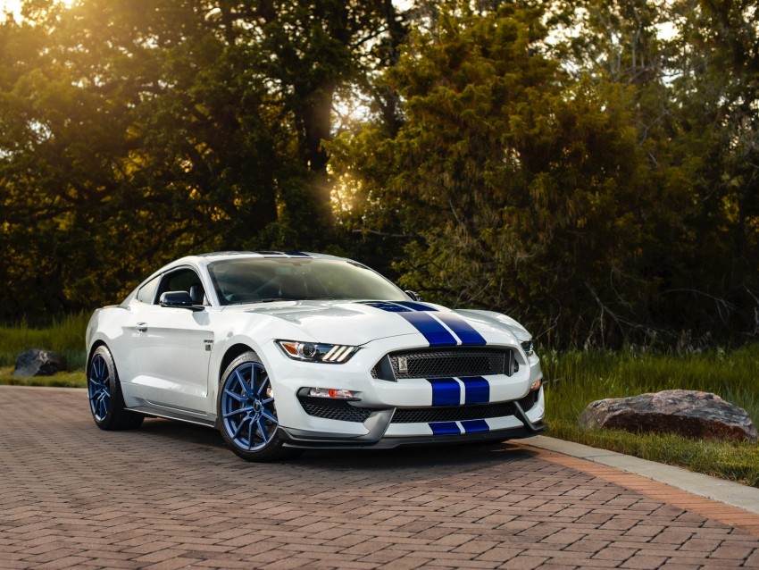 Ford Mustang Gt350 Ford Car Sportscar White Side View Background