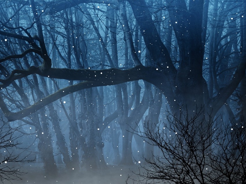 forest, fog, fireflies, branches