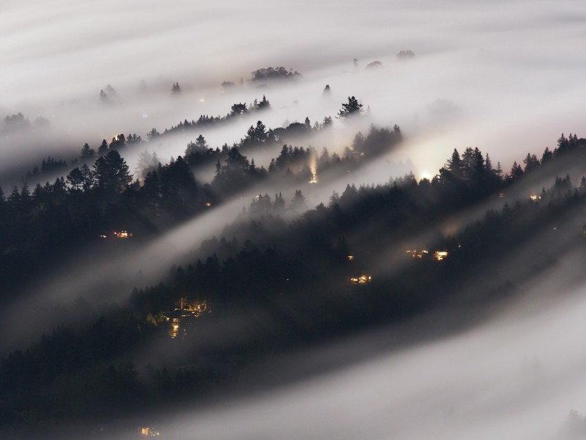 Forest Fog Trees Shine Aerial View Background