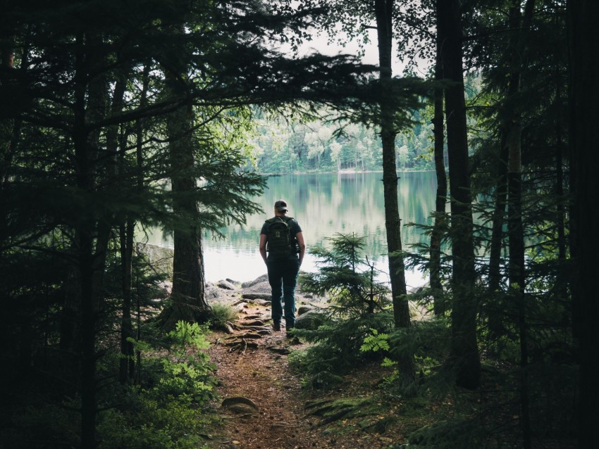 Forest Lake Man Tourist Trees Nature Background