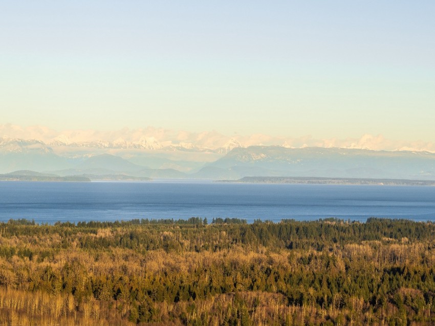 Forest Lake Mountains Horizon Fog Clouds Background