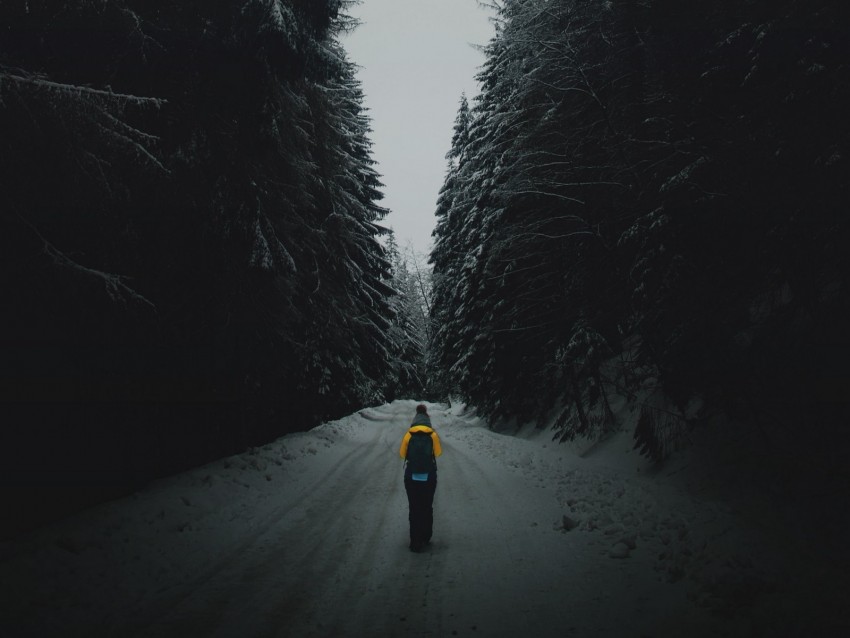 Forest Road Silhouette Snow Winter Dusk Background