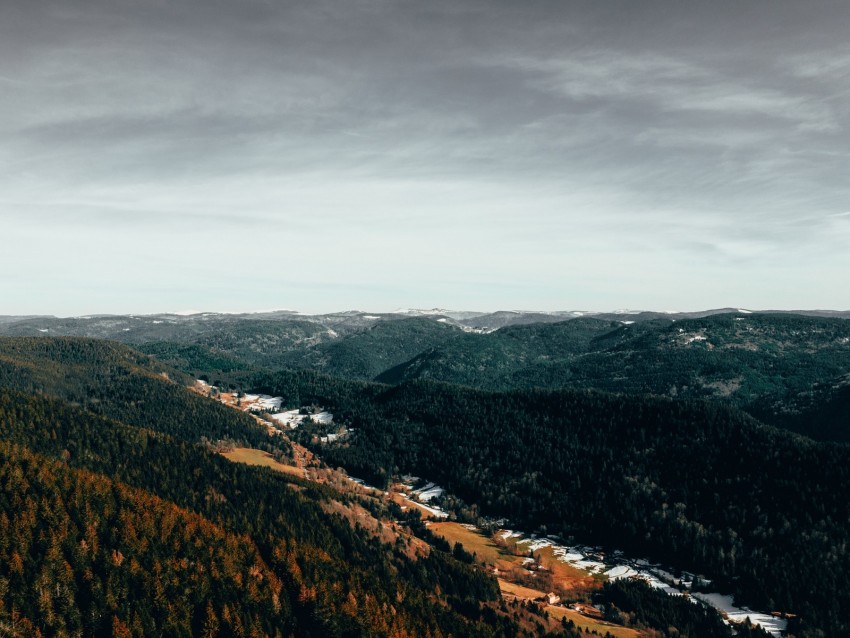 Forest Trees Aerial View Autumn Sky Background