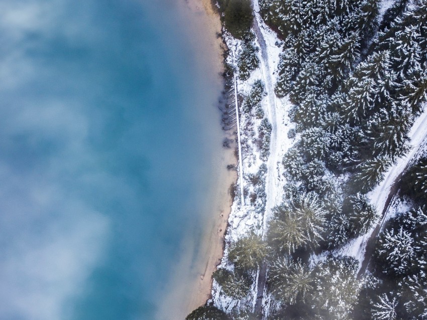 forest, trees, aerial view, ice, snow, winter, fog