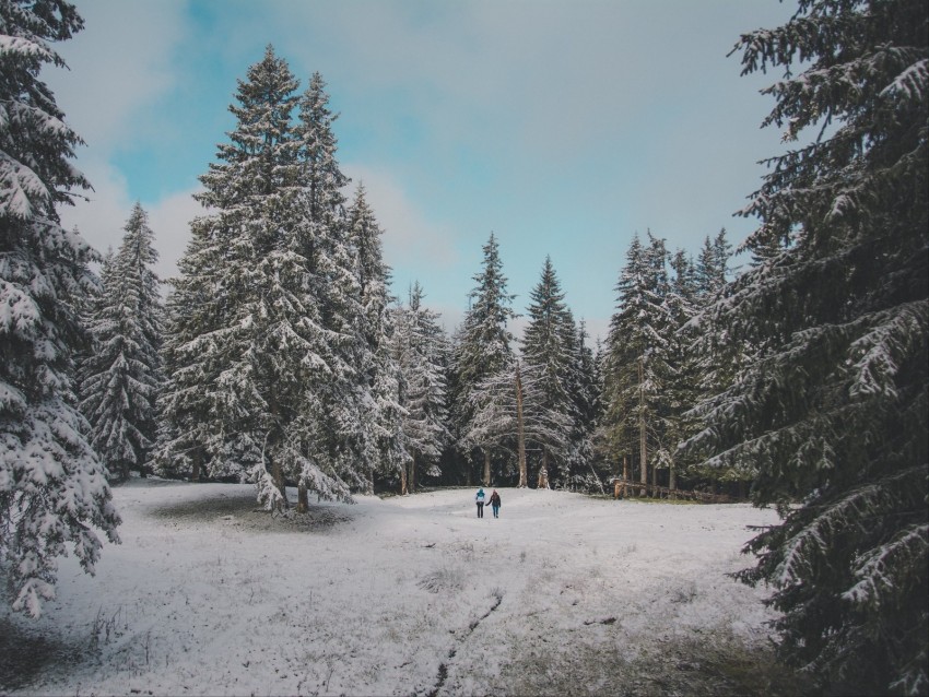 Forest Trees People Snow Winter Background