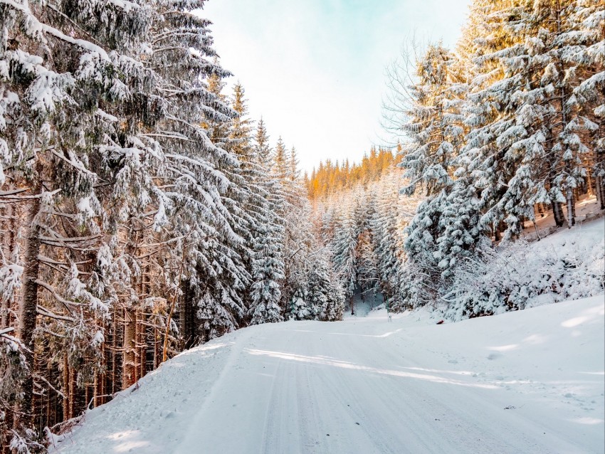 Forest Winter Snow Road Sky Nature Winter Landscape Background