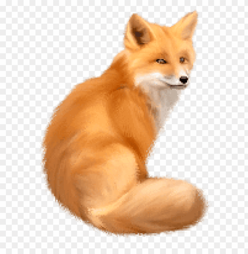 A realistic illustration of an orange fox sitting gracefully PNG