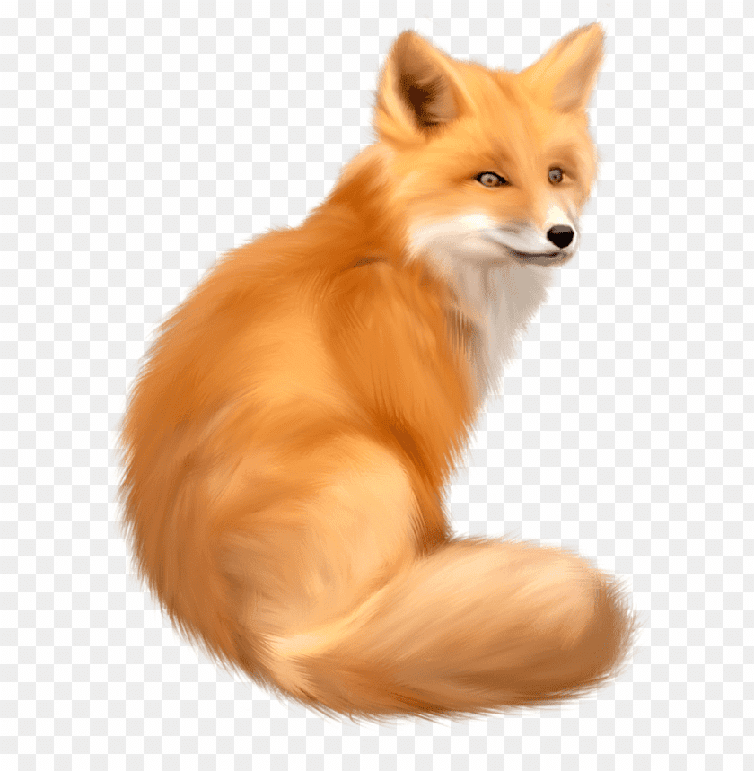 A realistic illustration of a sitting orange fox looking back PNG