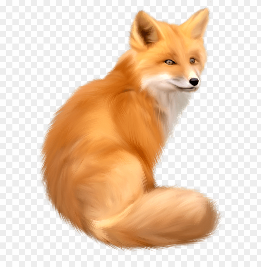 Illustration of a cute orange fox sitting gracefully, facing slightly sideways PNG