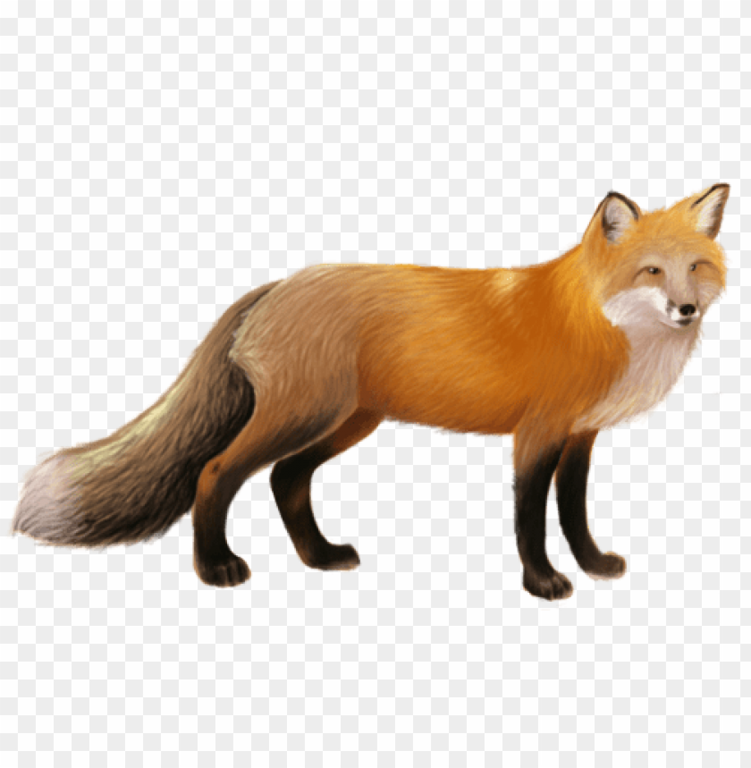 Realistic illustration of an orange fox standing gracefully PNG