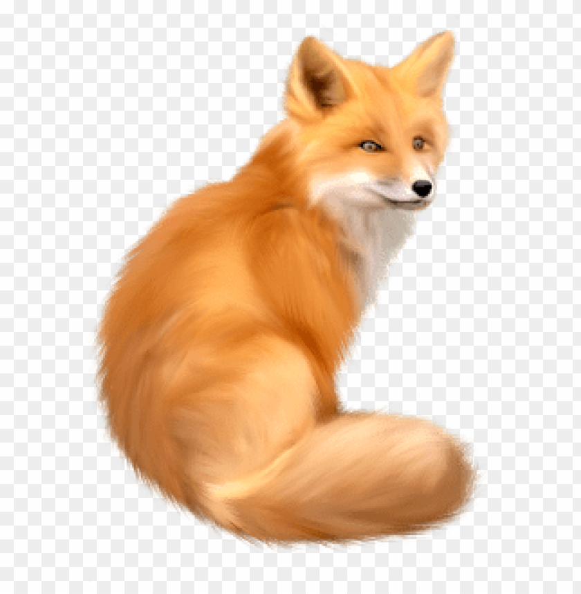 Realistic orange fox sitting with a soft fur coat, looking back PNG