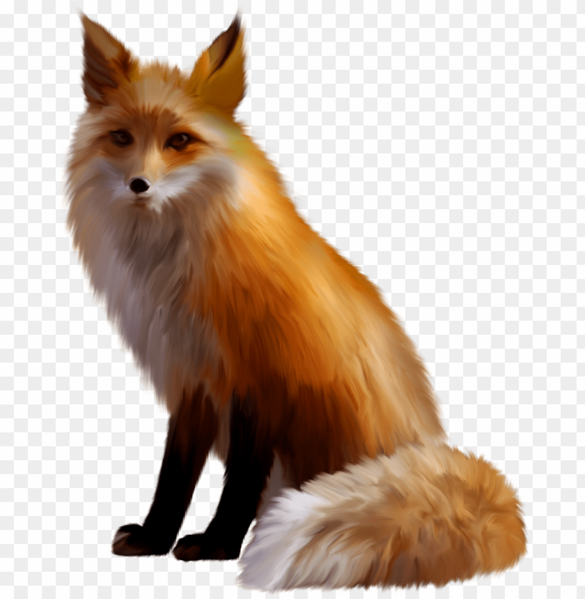 Realistic illustration of a sitting orange fox with a fluffy tail PNG