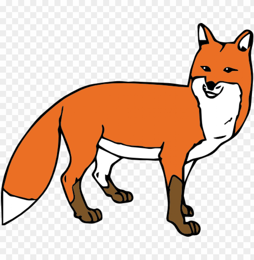 Illustration of a standing orange fox with a white belly and black legs PNG