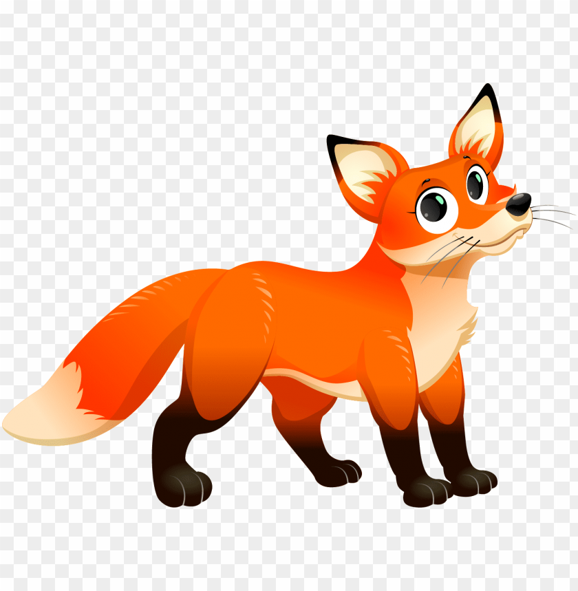 fox,animals