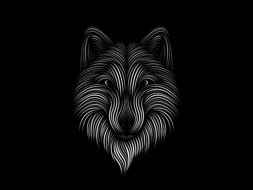 fox, line, art, bw