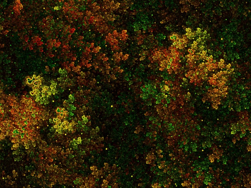 fractal, bushy, thick, green, yellow, red