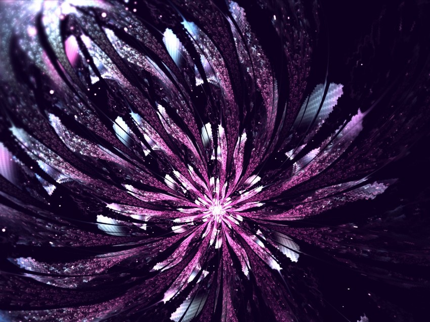 Fractal Flower Glow Abstraction Digital Purple Background