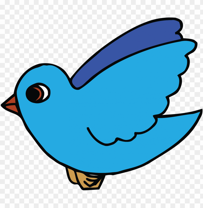 phoenix bird, twitter bird logo, big bird, bird wings, flappy bird pipe, bird