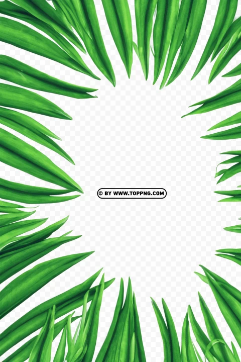 Leaves Frame, Leaves Frame Transparent PNG, Leaves Frame PNG, Nature Frame PNG, Nature Frame Transparent PNG, Nature Frame, Forest Frame PNG