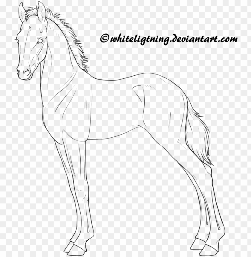 symbol, horse, vintage, baby horse, illustration, calf, draw